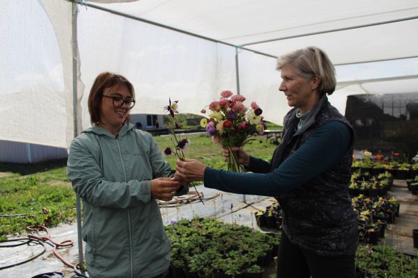 Follow your passion in sustainable farming as a farm manager apprentice with a structured pathway at Center for Land-Based Learning!